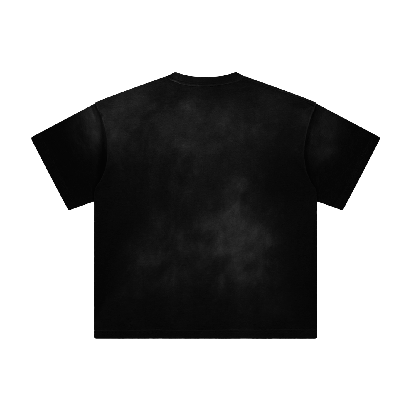 Ash & Reign Sunfade T-Shirt
