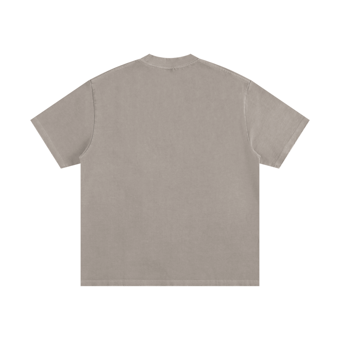 Ash & Reign Vintage Washed Frayed T-Shirt