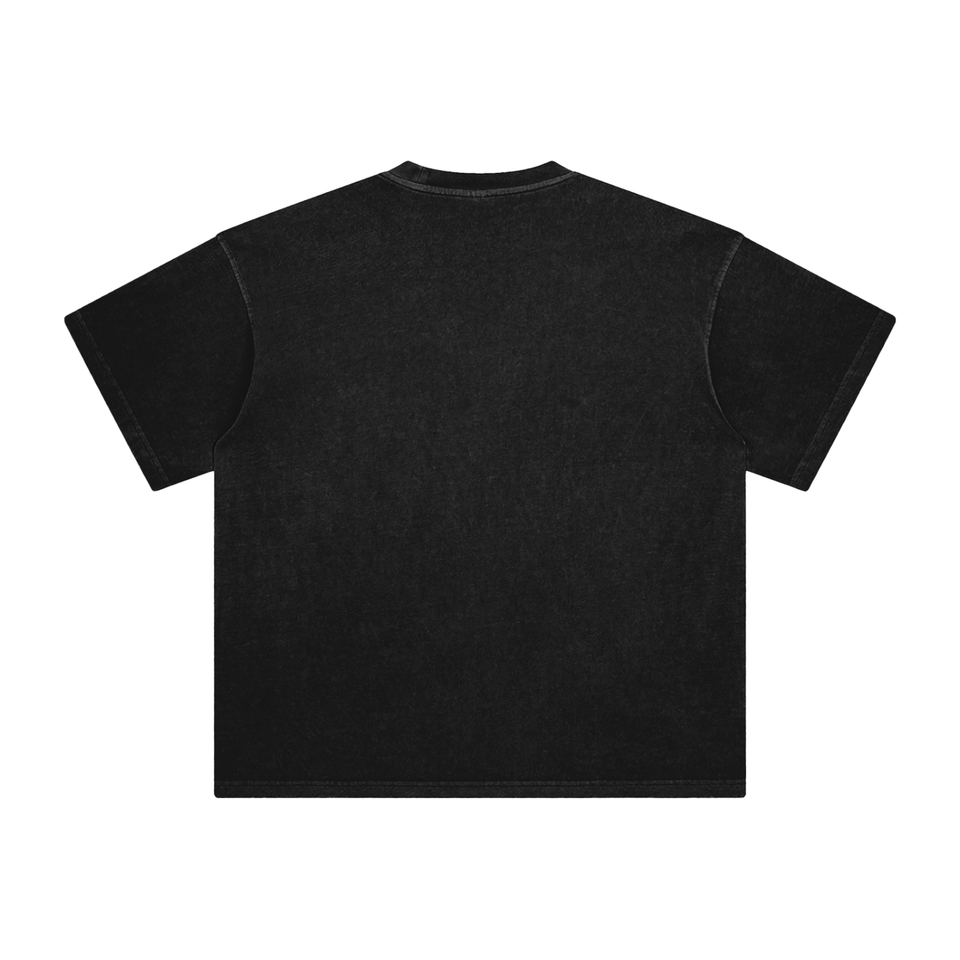Ash & Reign Enzyme Washed T-Shirt