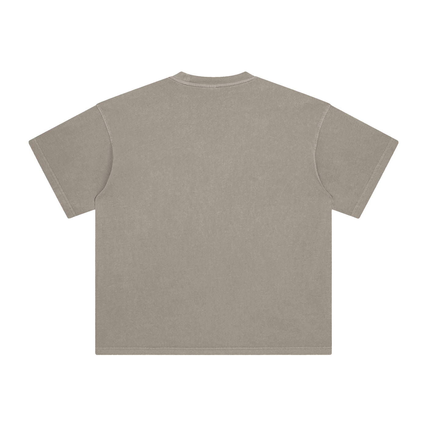 Ash & Reign Enzyme Washed T-Shirt