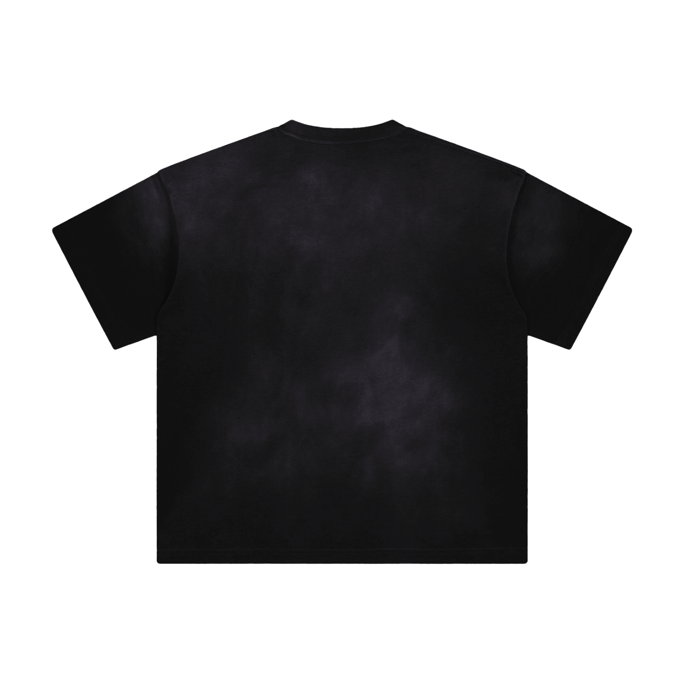 Ash & Reign Sunfade T-Shirt