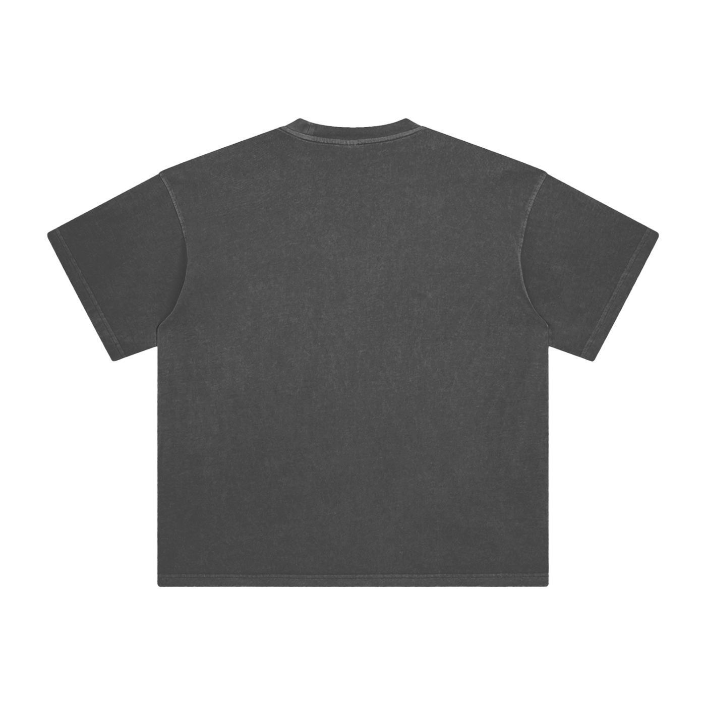 Ash & Reign Enzyme Washed T-Shirt