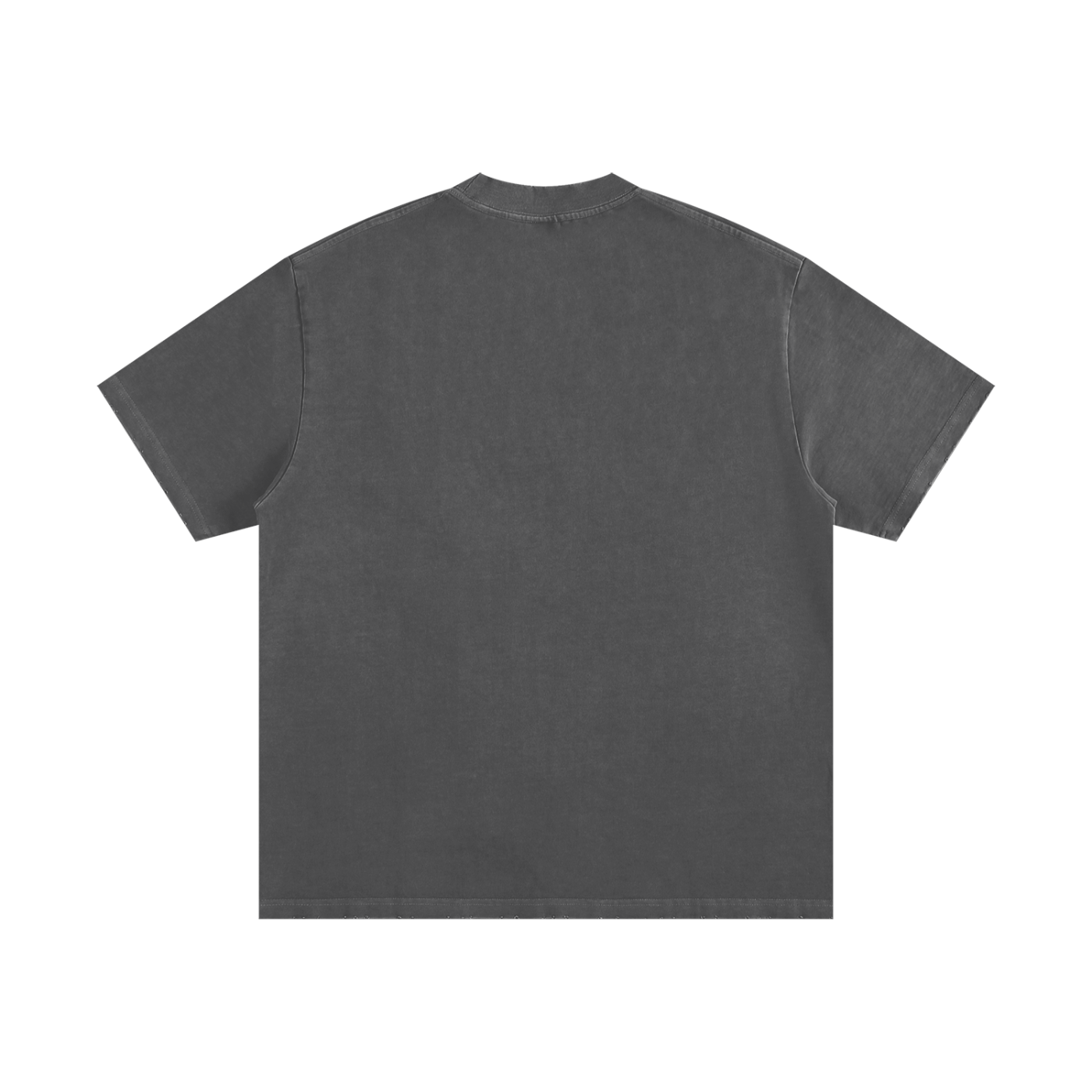 Ash & Reign Vintage Washed Frayed T-Shirt