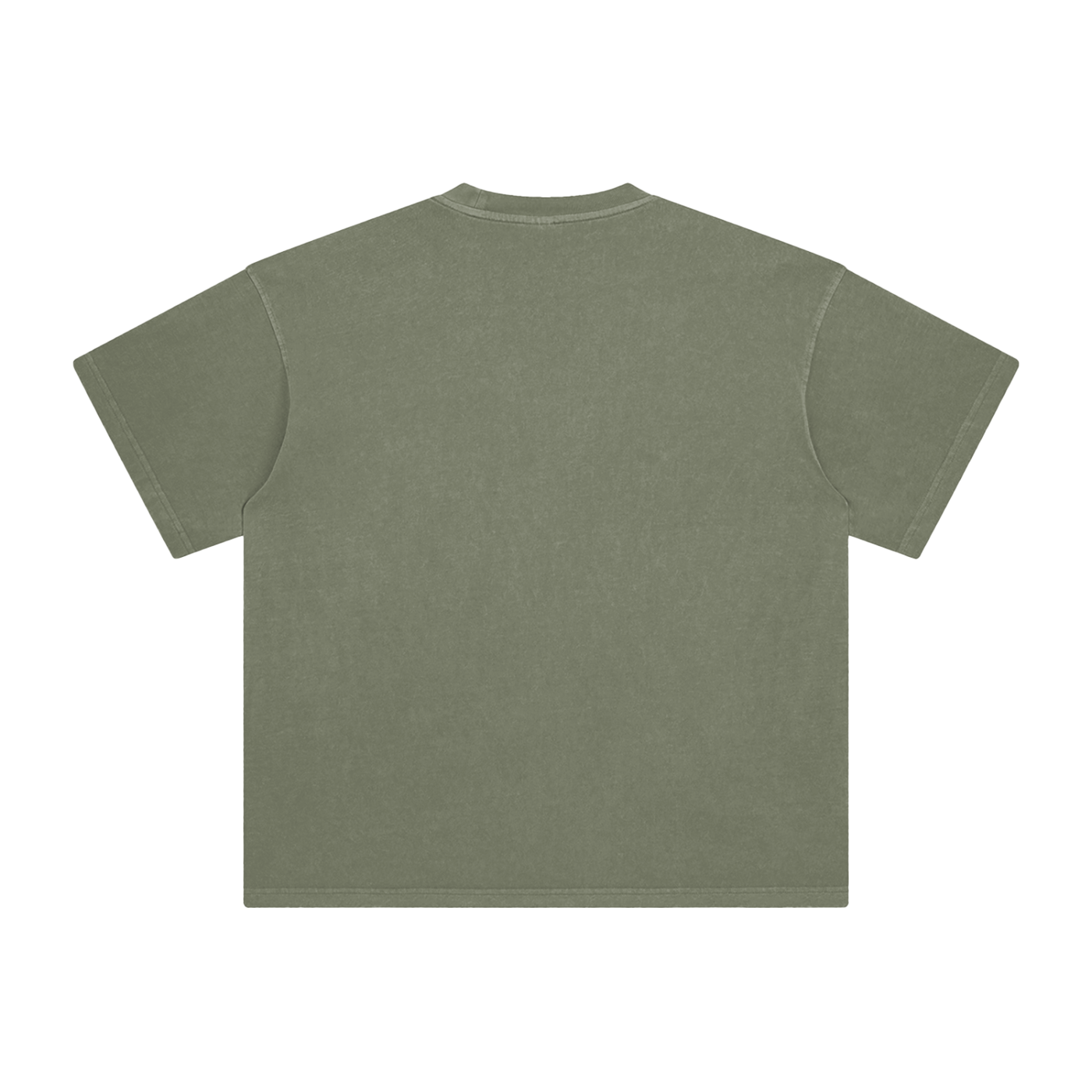 Ash & Reign Enzyme Washed T-Shirt