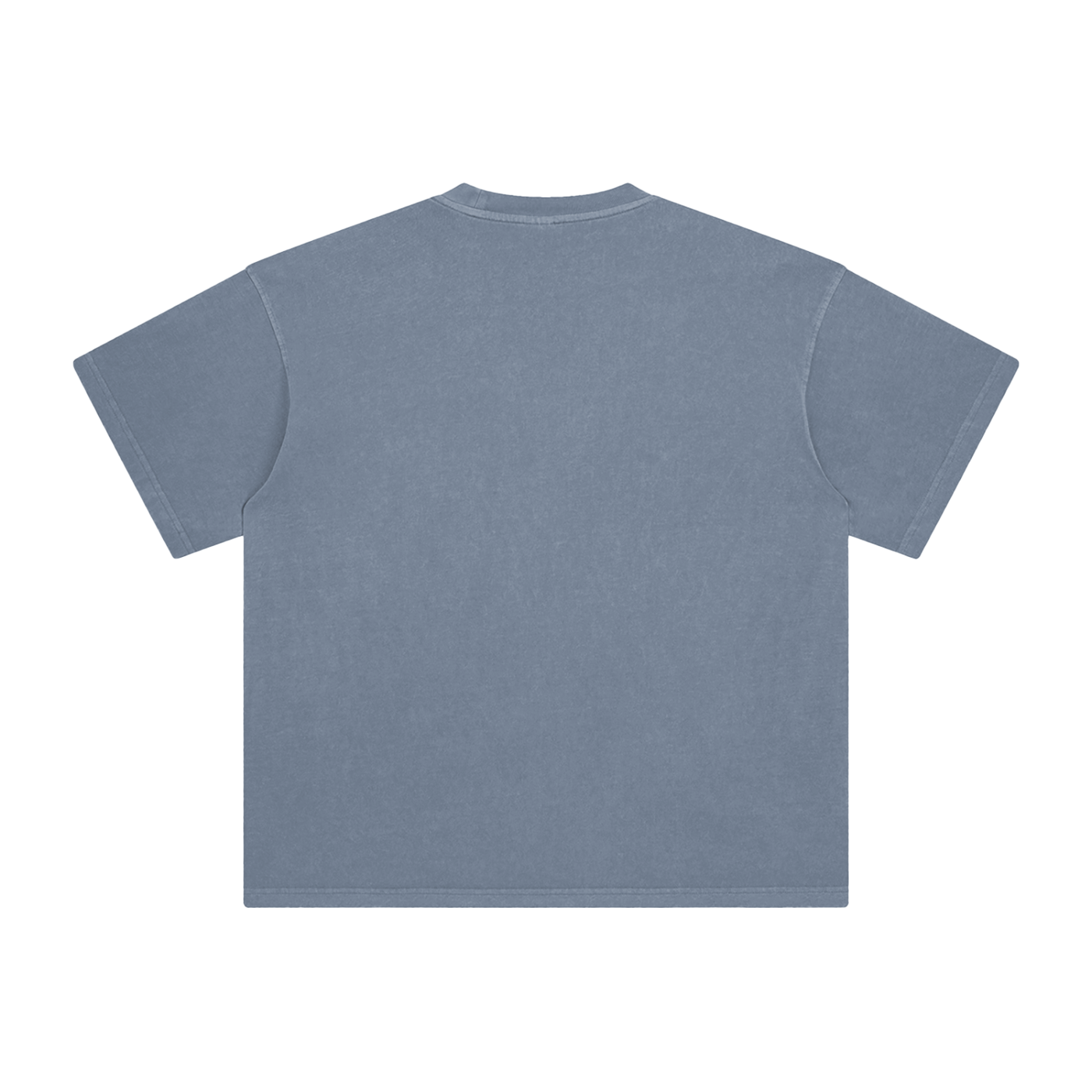 Ash & Reign Enzyme Washed T-Shirt