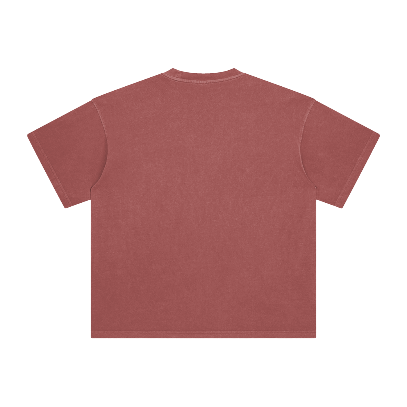 Ash & Reign Enzyme Washed T-Shirt
