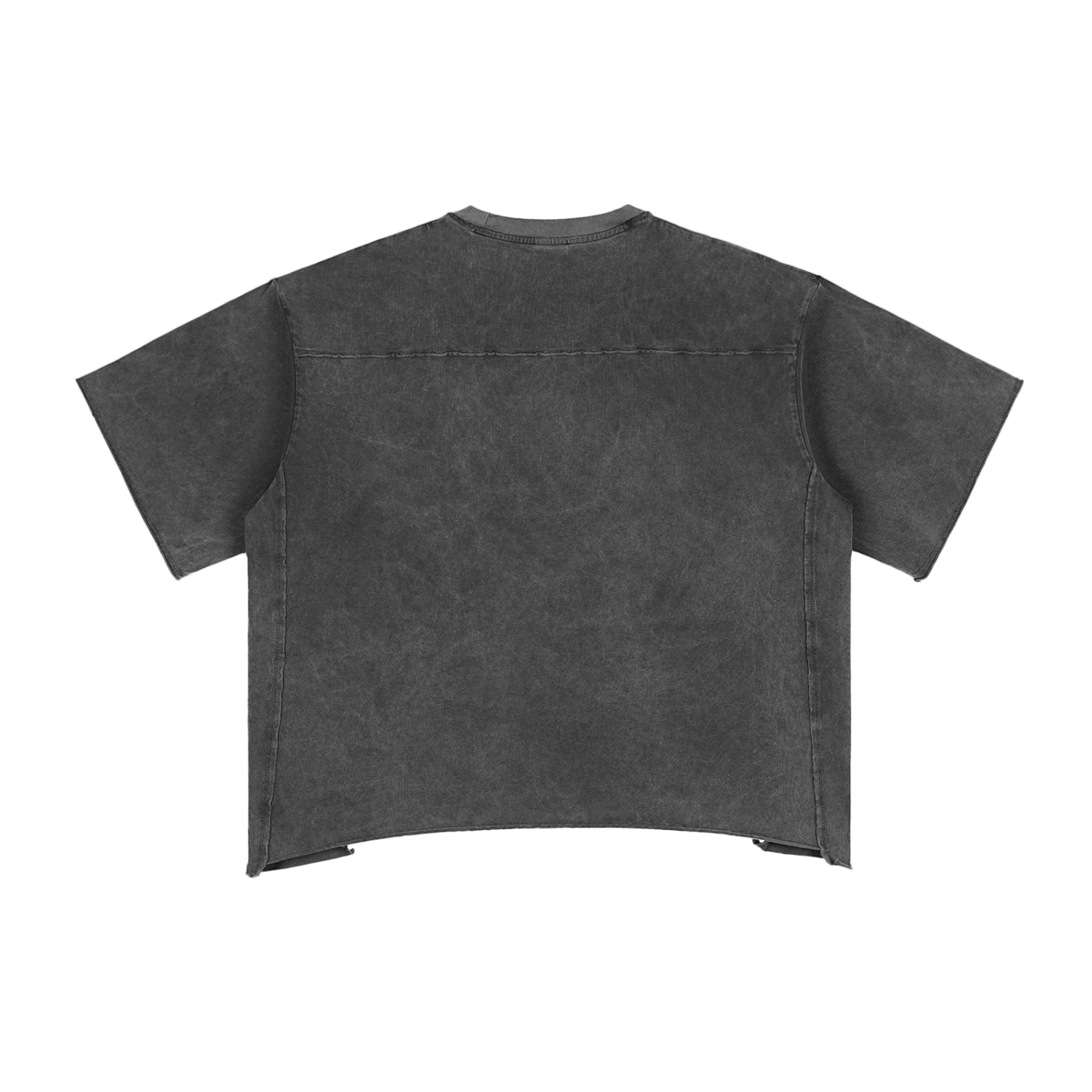 Ash & Reign Raw Edge Snow Washed Boxy T-Shirt