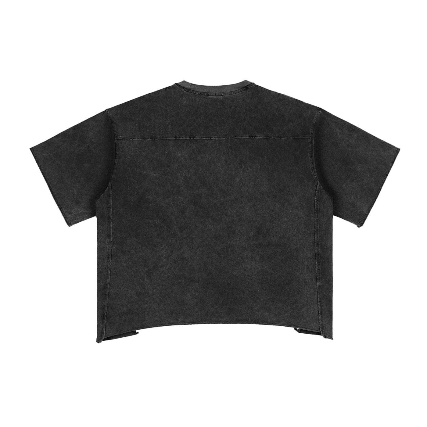 Ash & Reign Raw Edge Snow Washed Boxy T-Shirt
